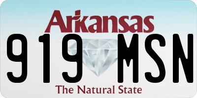 AR license plate 919MSN