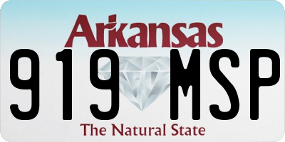 AR license plate 919MSP
