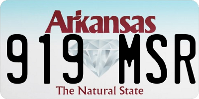 AR license plate 919MSR