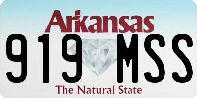 AR license plate 919MSS