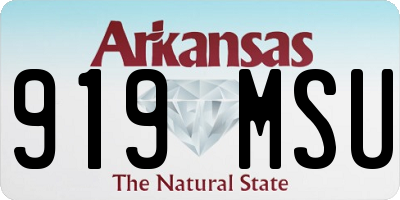 AR license plate 919MSU