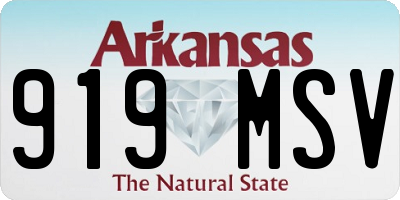 AR license plate 919MSV
