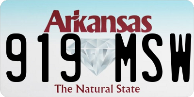 AR license plate 919MSW