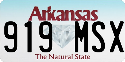 AR license plate 919MSX