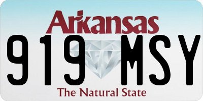 AR license plate 919MSY