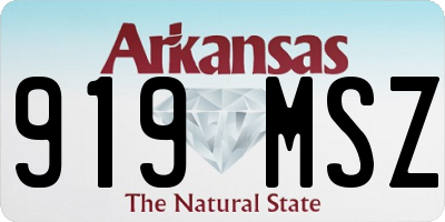 AR license plate 919MSZ