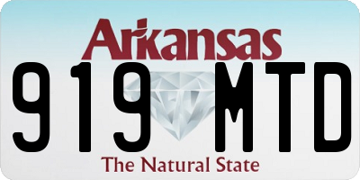 AR license plate 919MTD