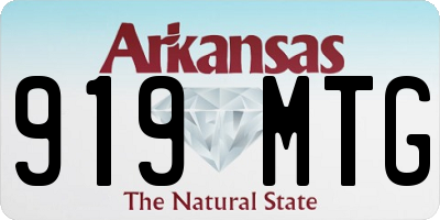 AR license plate 919MTG