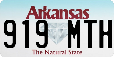 AR license plate 919MTH