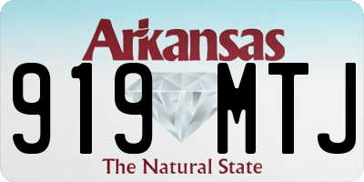 AR license plate 919MTJ