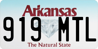 AR license plate 919MTL