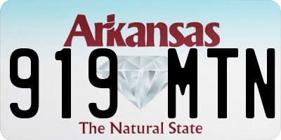 AR license plate 919MTN