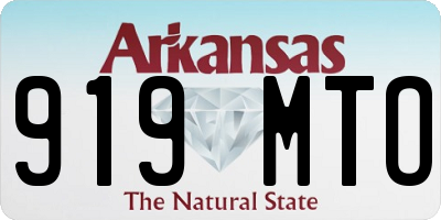 AR license plate 919MTO