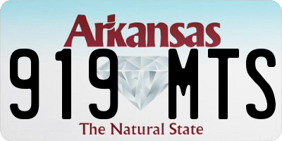 AR license plate 919MTS