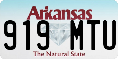 AR license plate 919MTU