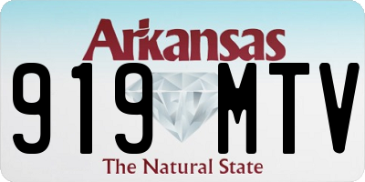 AR license plate 919MTV
