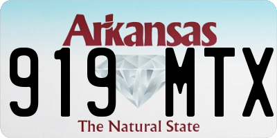 AR license plate 919MTX