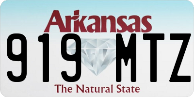 AR license plate 919MTZ