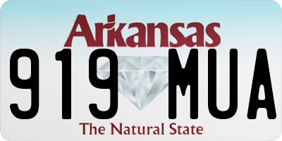 AR license plate 919MUA