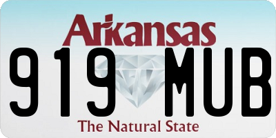 AR license plate 919MUB