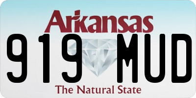 AR license plate 919MUD