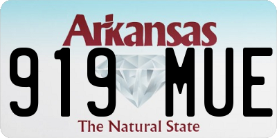 AR license plate 919MUE