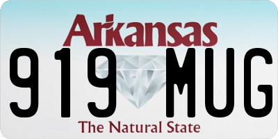AR license plate 919MUG