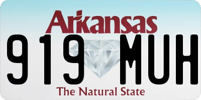 AR license plate 919MUH