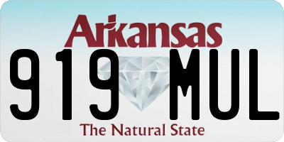 AR license plate 919MUL