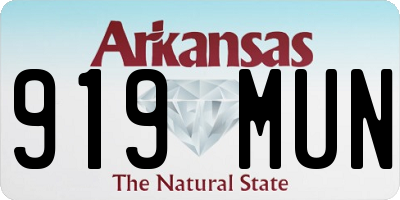 AR license plate 919MUN