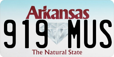 AR license plate 919MUS
