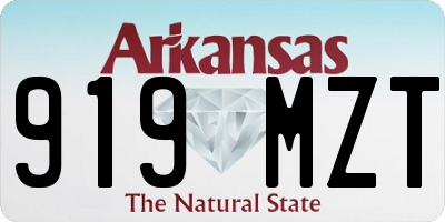 AR license plate 919MZT