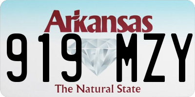 AR license plate 919MZY