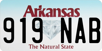 AR license plate 919NAB