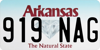 AR license plate 919NAG