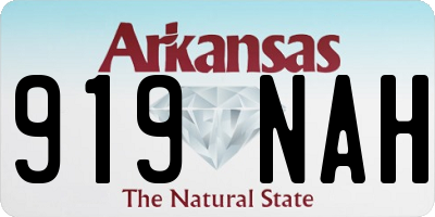 AR license plate 919NAH