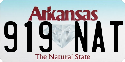 AR license plate 919NAT