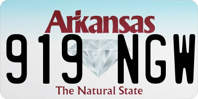 AR license plate 919NGW