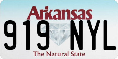 AR license plate 919NYL