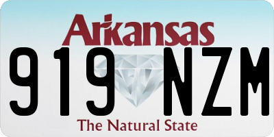 AR license plate 919NZM