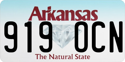 AR license plate 919OCN