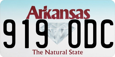 AR license plate 919ODC
