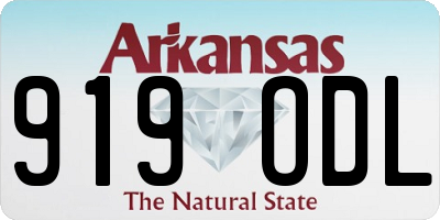 AR license plate 919ODL