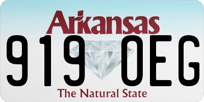 AR license plate 919OEG