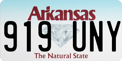 AR license plate 919UNY