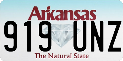 AR license plate 919UNZ