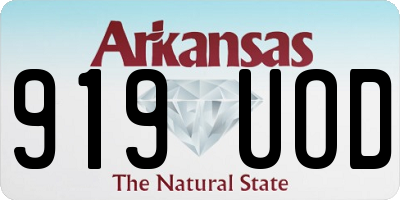 AR license plate 919UOD