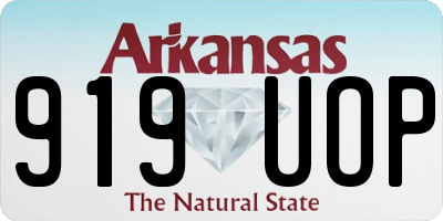 AR license plate 919UOP