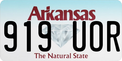 AR license plate 919UOR