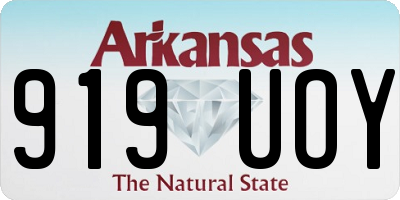 AR license plate 919UOY